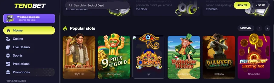 Browse popular slots lobby.